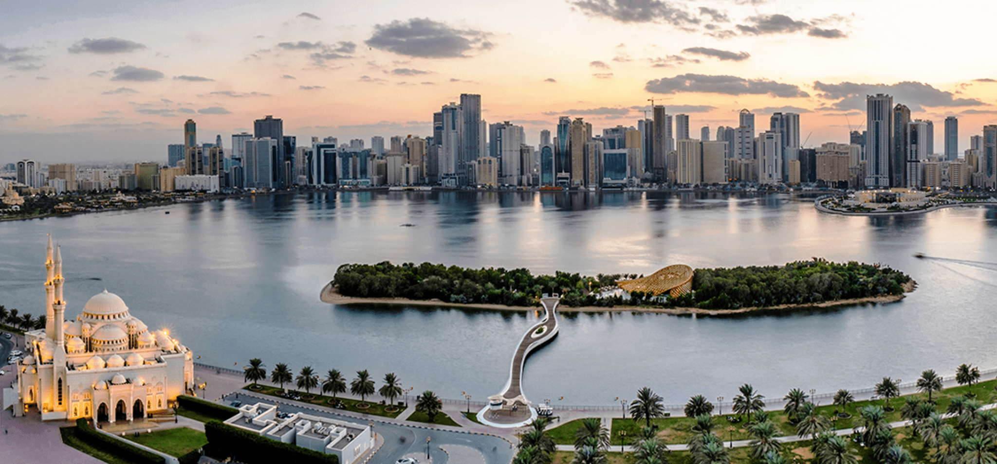 DMCC Business Activities